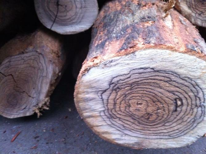 Nội thất gỗ da báo góp phần làm nên đẳng cấp cho không gian 